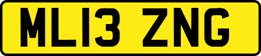 ML13ZNG