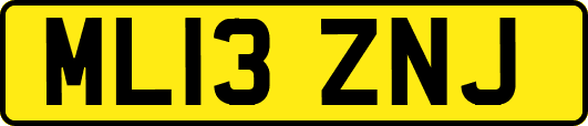 ML13ZNJ