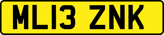 ML13ZNK