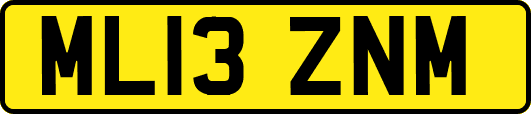 ML13ZNM