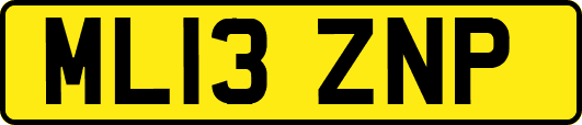ML13ZNP