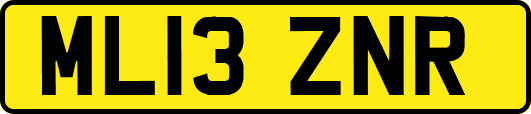 ML13ZNR