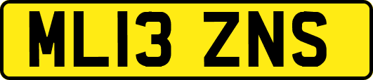 ML13ZNS