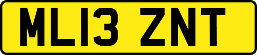ML13ZNT