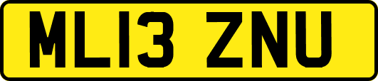 ML13ZNU