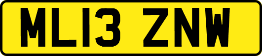 ML13ZNW