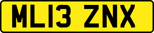 ML13ZNX