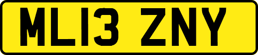 ML13ZNY