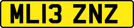 ML13ZNZ
