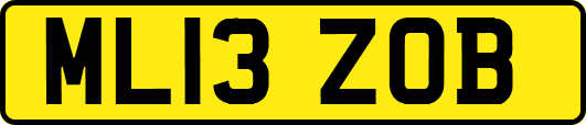 ML13ZOB