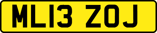 ML13ZOJ