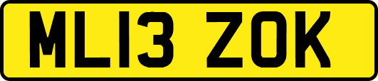 ML13ZOK