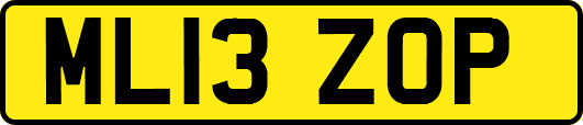ML13ZOP