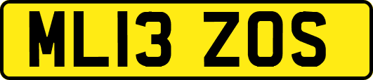 ML13ZOS