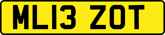 ML13ZOT