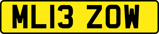 ML13ZOW