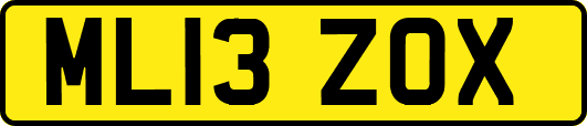 ML13ZOX