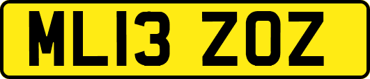 ML13ZOZ