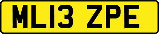 ML13ZPE