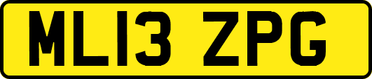 ML13ZPG