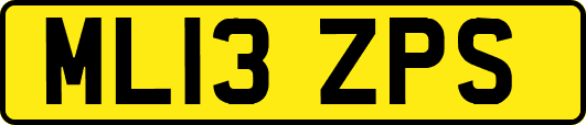ML13ZPS