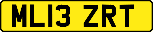 ML13ZRT