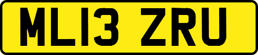 ML13ZRU