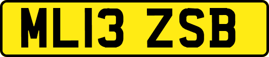 ML13ZSB