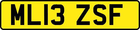 ML13ZSF