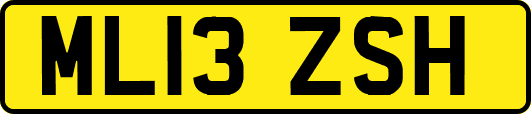 ML13ZSH