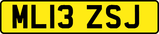 ML13ZSJ