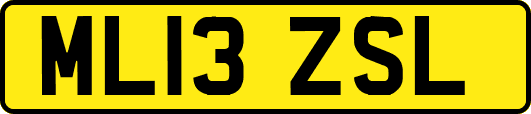 ML13ZSL