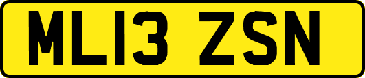 ML13ZSN