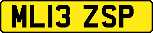 ML13ZSP