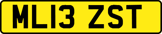 ML13ZST