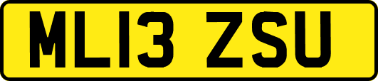 ML13ZSU