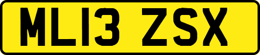 ML13ZSX