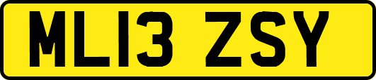 ML13ZSY