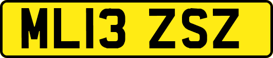 ML13ZSZ