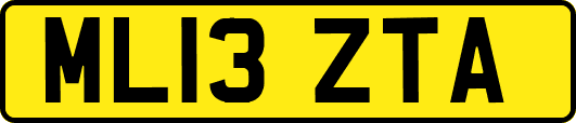 ML13ZTA