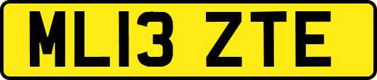 ML13ZTE