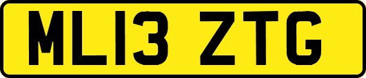 ML13ZTG