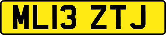 ML13ZTJ