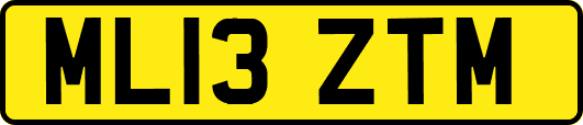 ML13ZTM