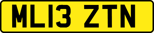 ML13ZTN
