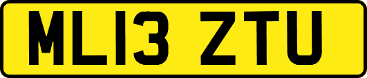 ML13ZTU