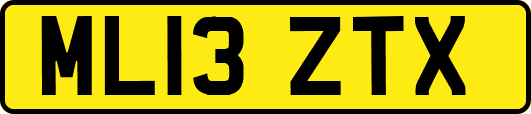 ML13ZTX