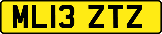ML13ZTZ