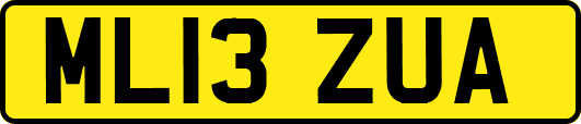 ML13ZUA