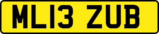 ML13ZUB